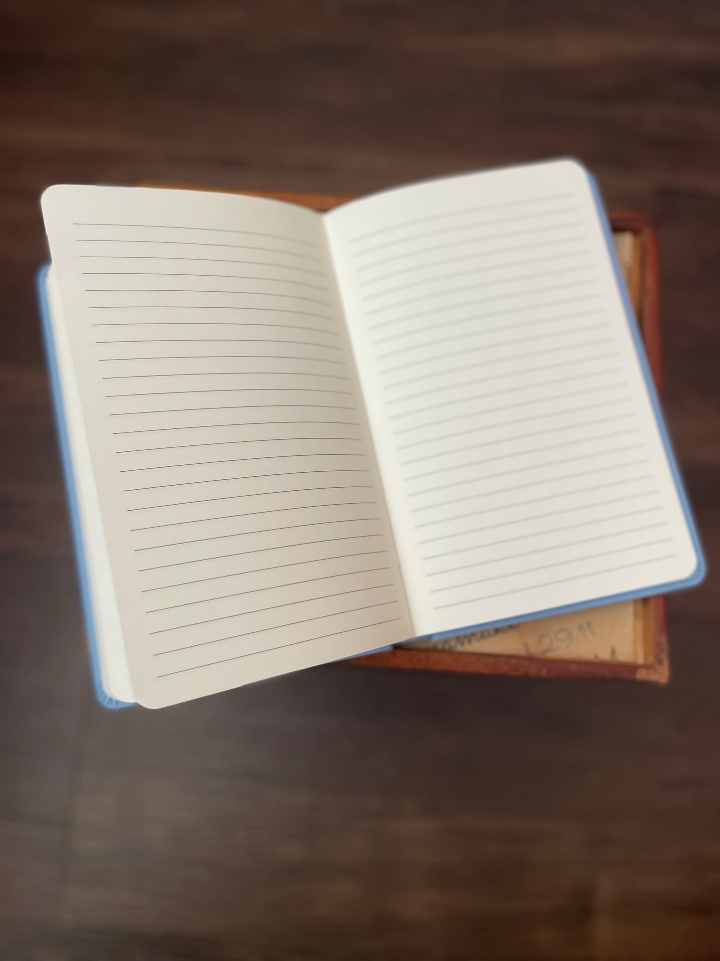 Blue Dove -Notebook